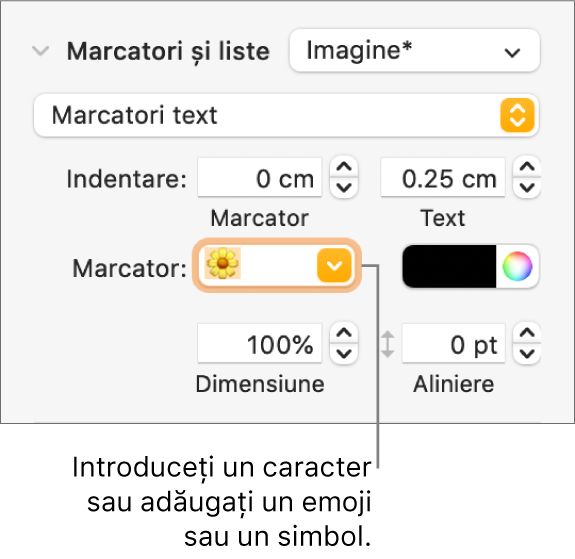 Secțiunea Marcatori și liste din bara laterală Format. Câmpul Marcatori afișează un emoji floare.