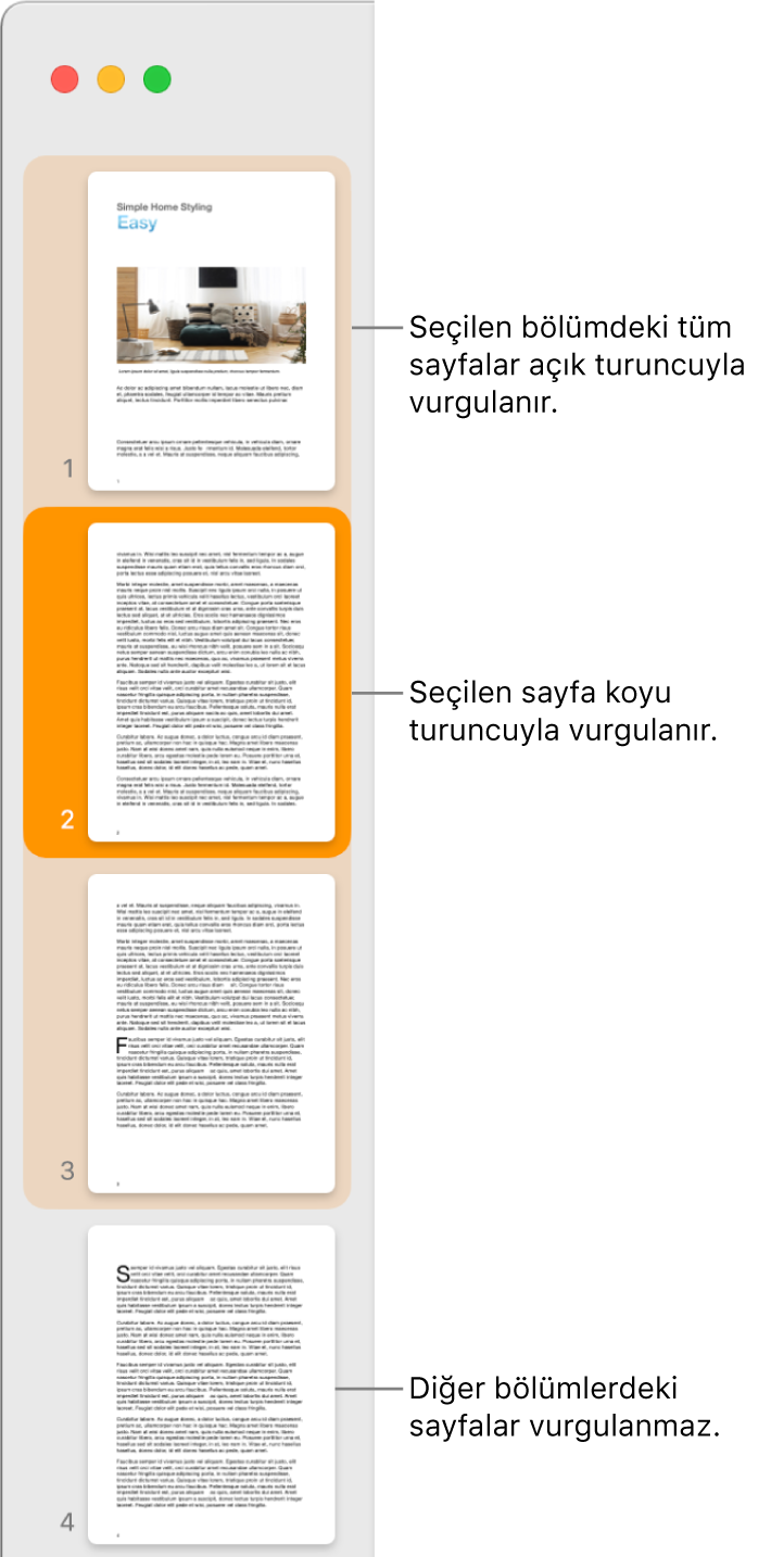Seçilen sayfa koyu turuncuyla ve seçilen bölümdeki tüm sayfalar açık turuncuyla vurgulanmış olan Küçük Resim Görüntüsü kenar çubuğu.