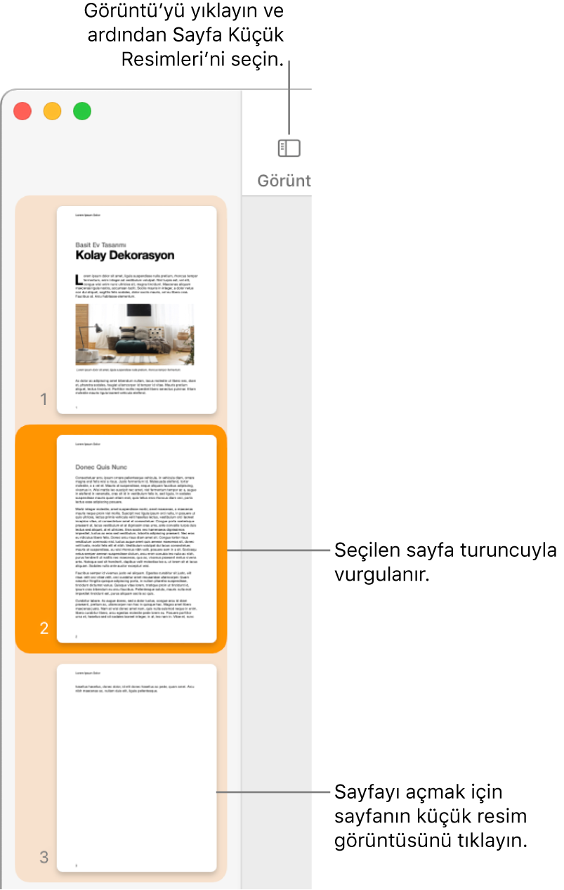 Sayfa Küçük Resimleri görüntüsü açık ve seçili sayfa koyu turuncu ile vurgulanmış Pages penceresinin sol tarafındaki kenar çubuğu.