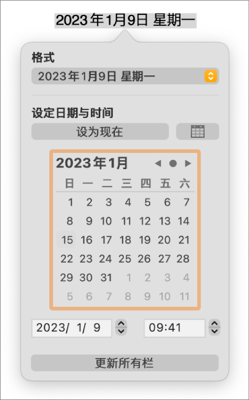 “日期与时间”控制，显示了“格式”的弹出式菜单和“设定日期与时间”控制。