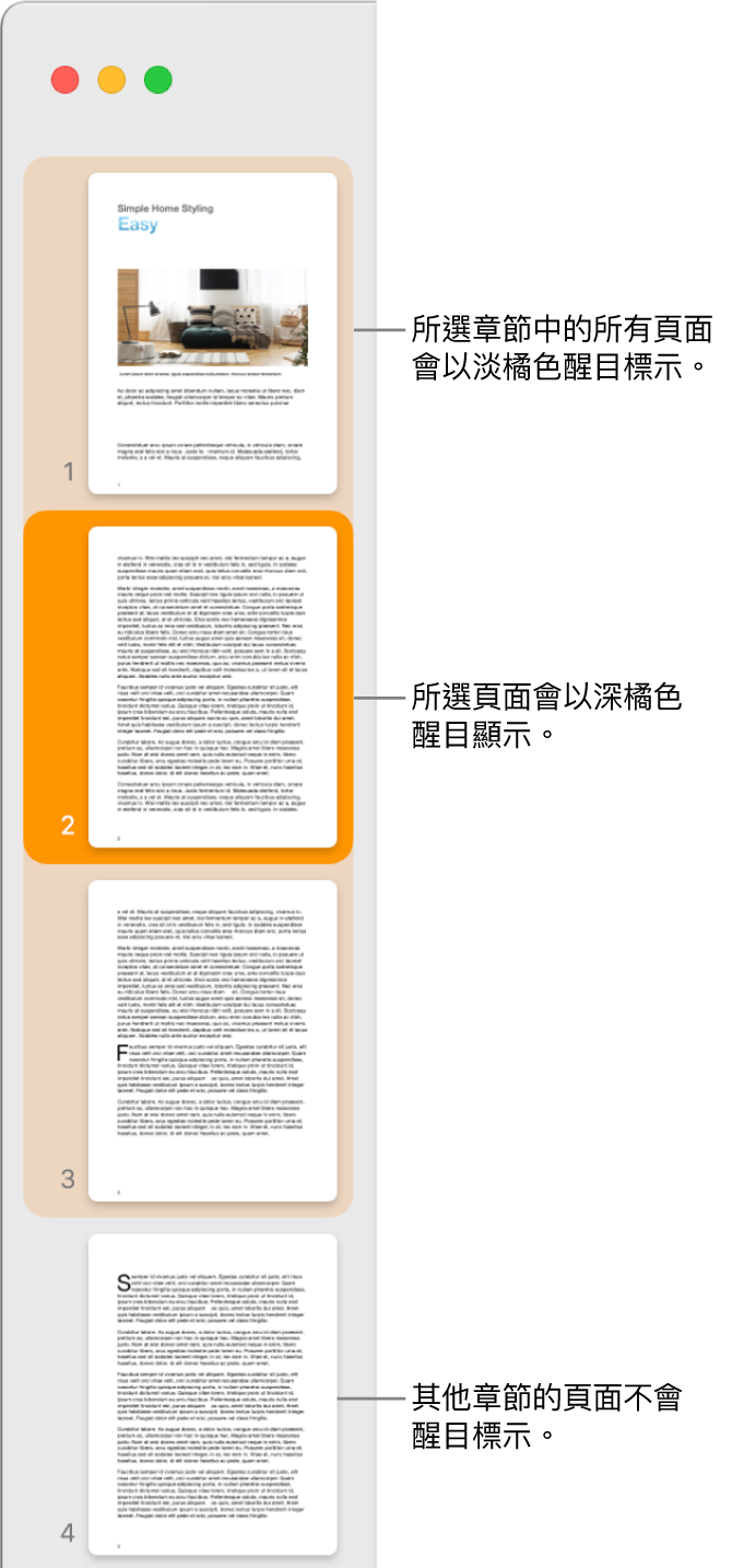 「縮覽圖顯示方式」側邊欄，所選取的頁面以深橘色反白顯示，所選取章節中的全部頁面則以淡橘色反白顯示。