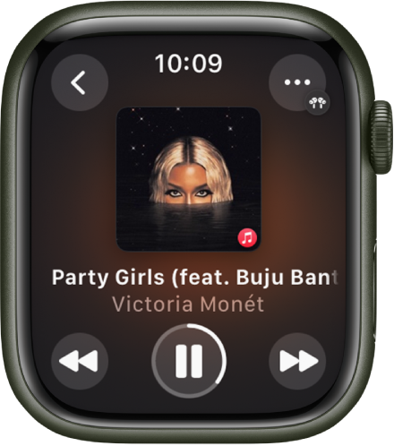 Use Now Playing on Apple Watch - Apple Support