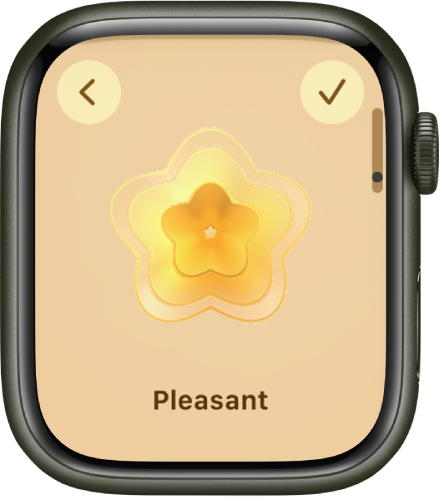 Log your state of mind on Apple Watch - Apple Support