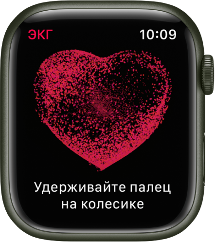 В приложении &laquo;ЭКГ&raquo; показано изображение сердца и отображается инструкция: &laquo;Удерживайте палец на колесике&raquo;.