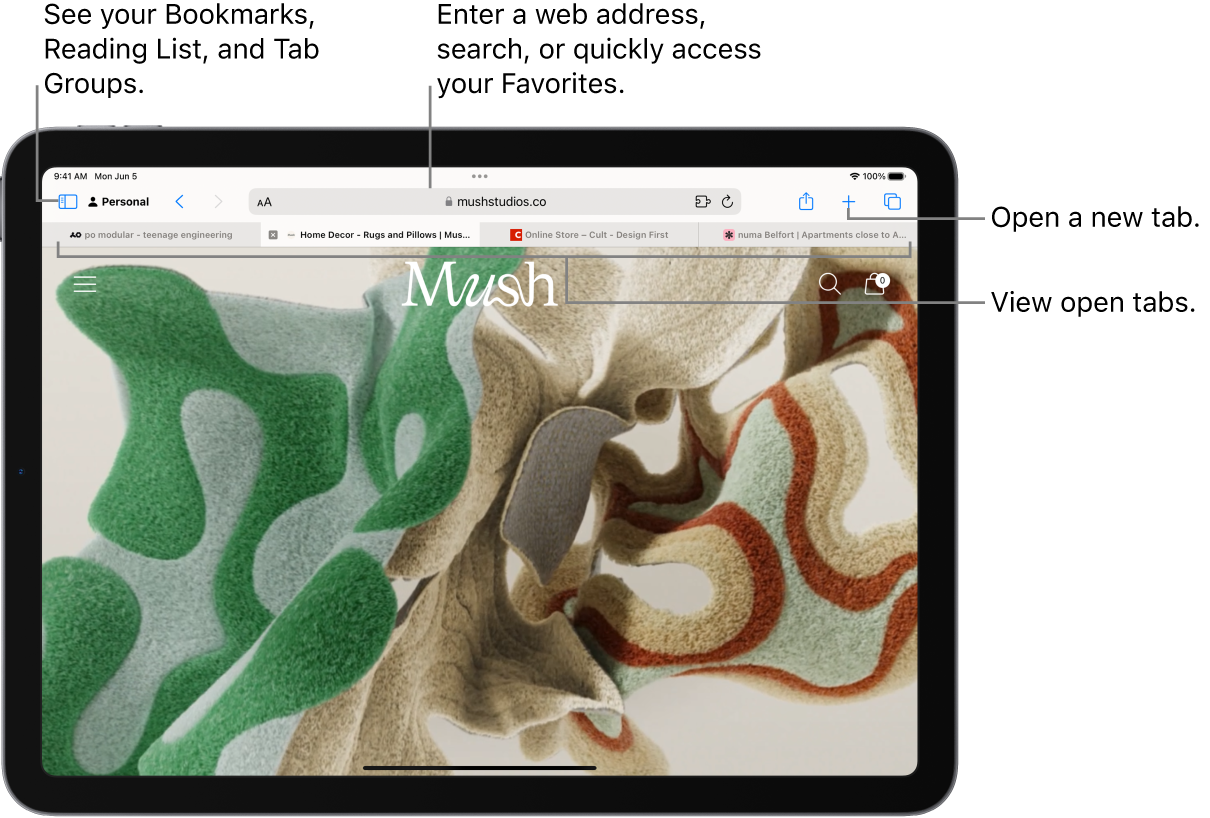 Browse the web using Safari on iPad - Apple Support