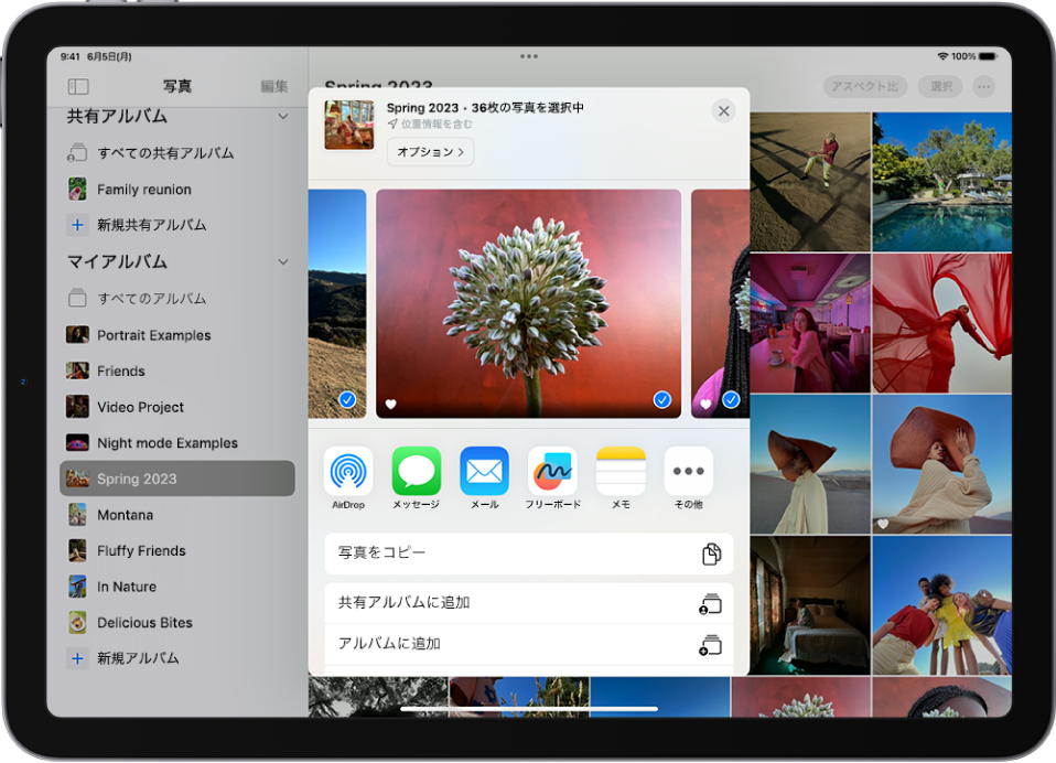 iPadアプリの共有オプションをカスタマイズする - Apple サポート (日本)