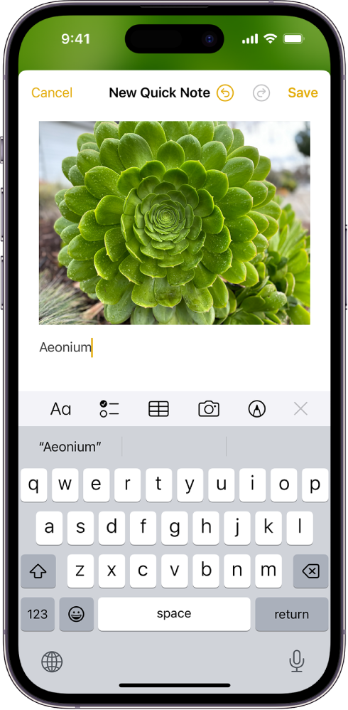 Apple Notes App Tips and Tricks for iPhone and iPad 