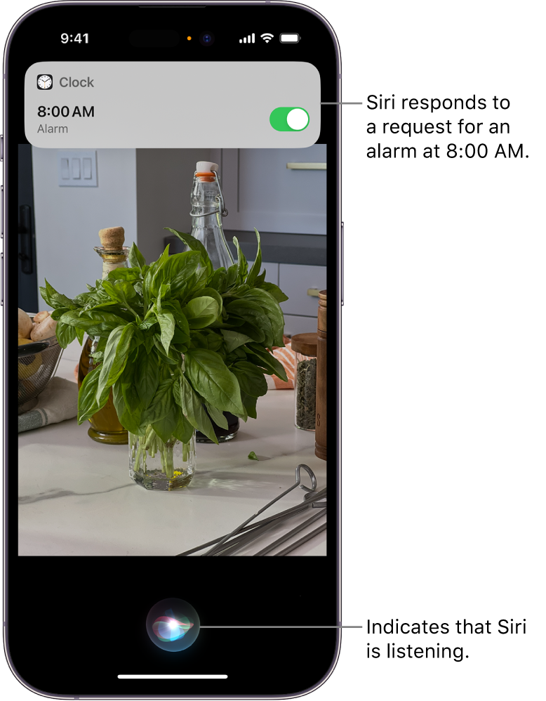 How to use Siri to take photos with your iPhone