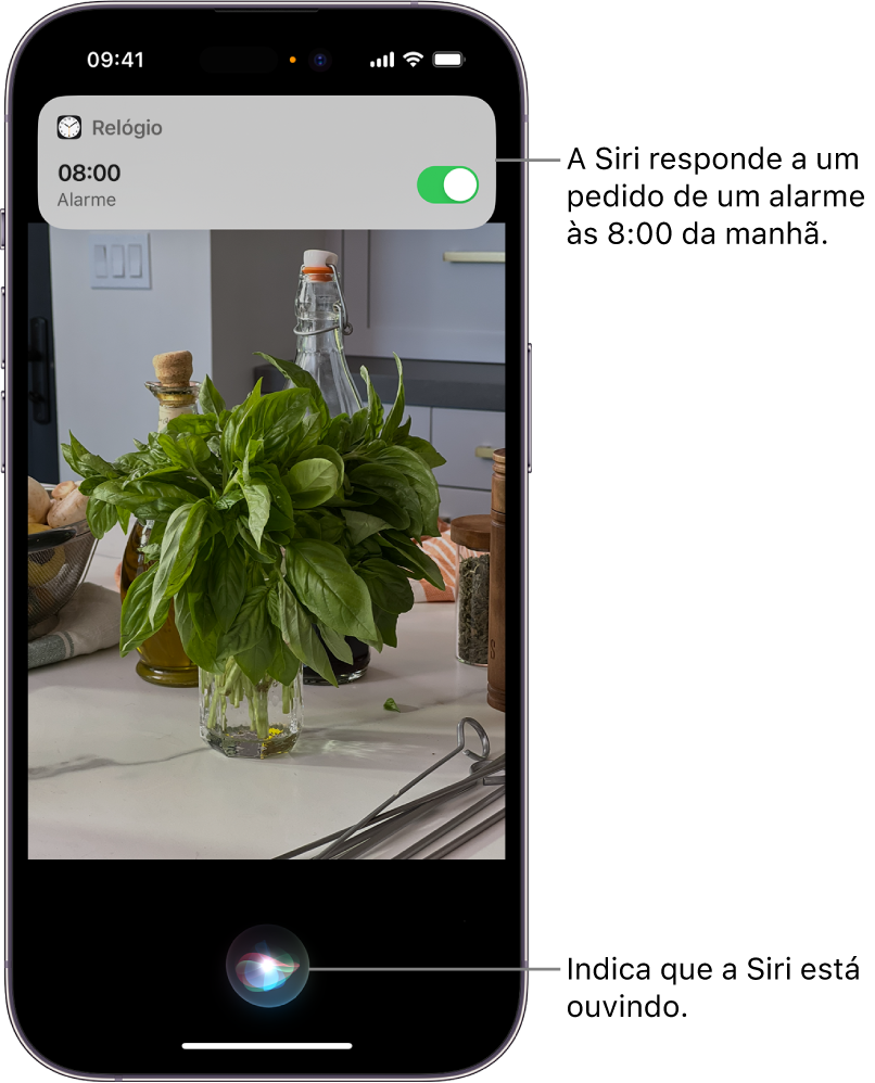 Traduza texto, voz e conversas no iPhone - Suporte da Apple (BR)