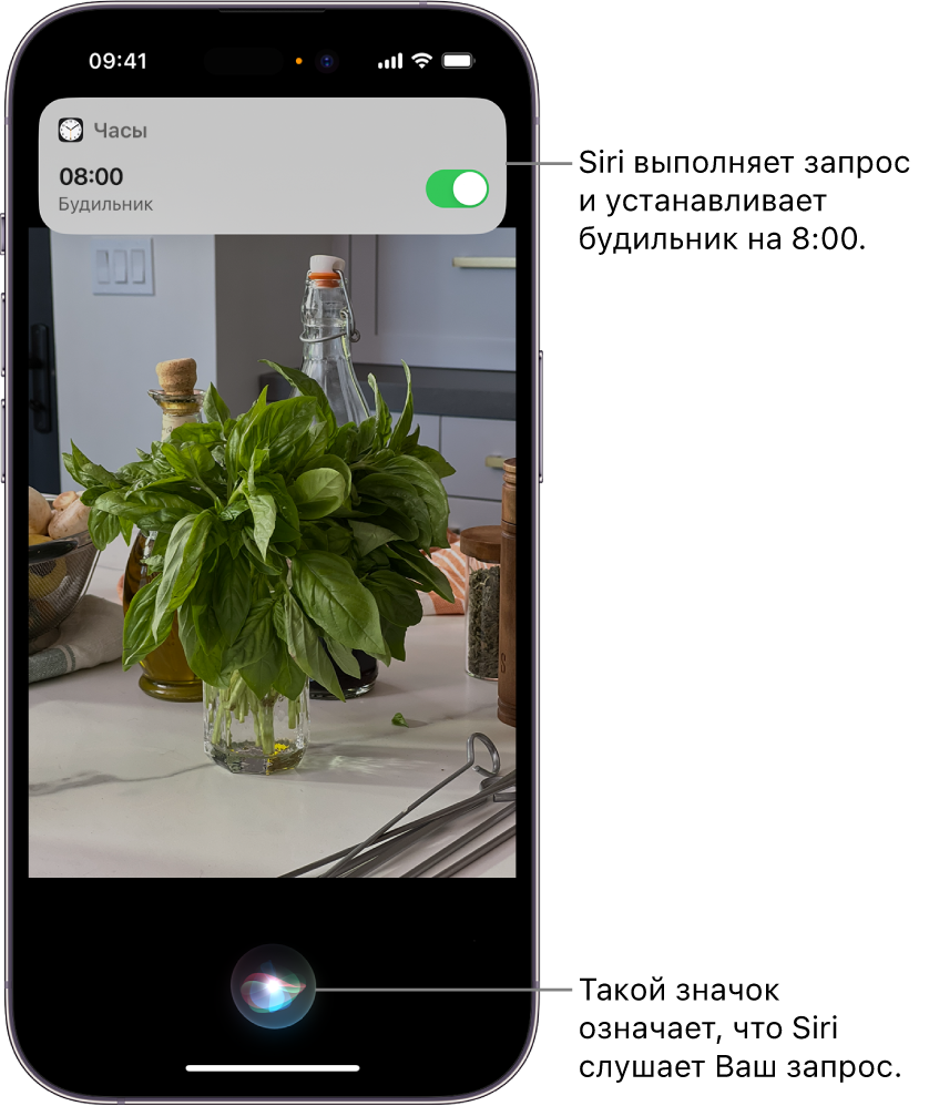 Стоимость услуг на ремонт ПО iPhone