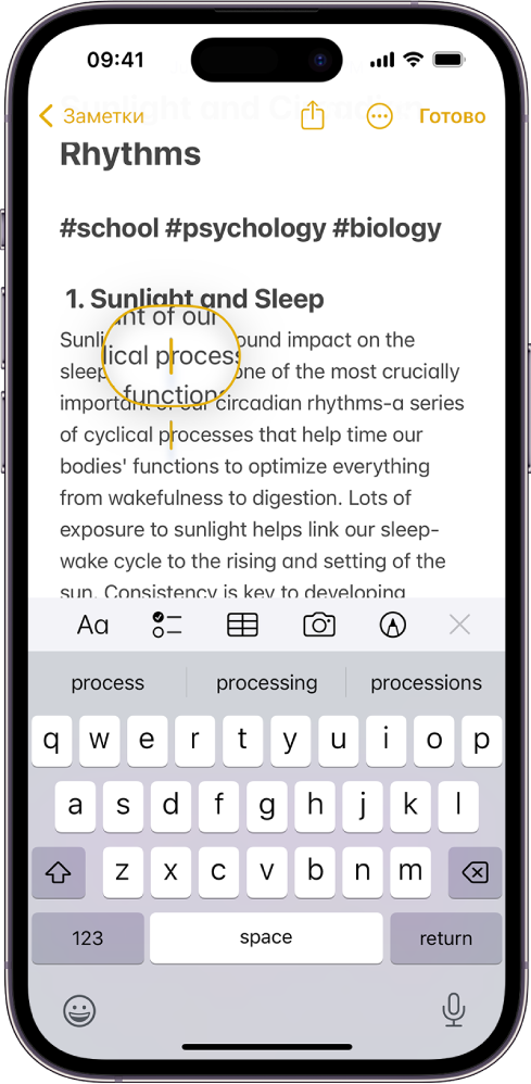 В заметке показана точка вставки в месте, где необходимо вставить или изменить текст. Окружающий текст увеличивается, чтобы упростить размещение точки вставки.