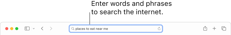 The Safari Smart Search field, where you can enter words and phrases to search the internet.
