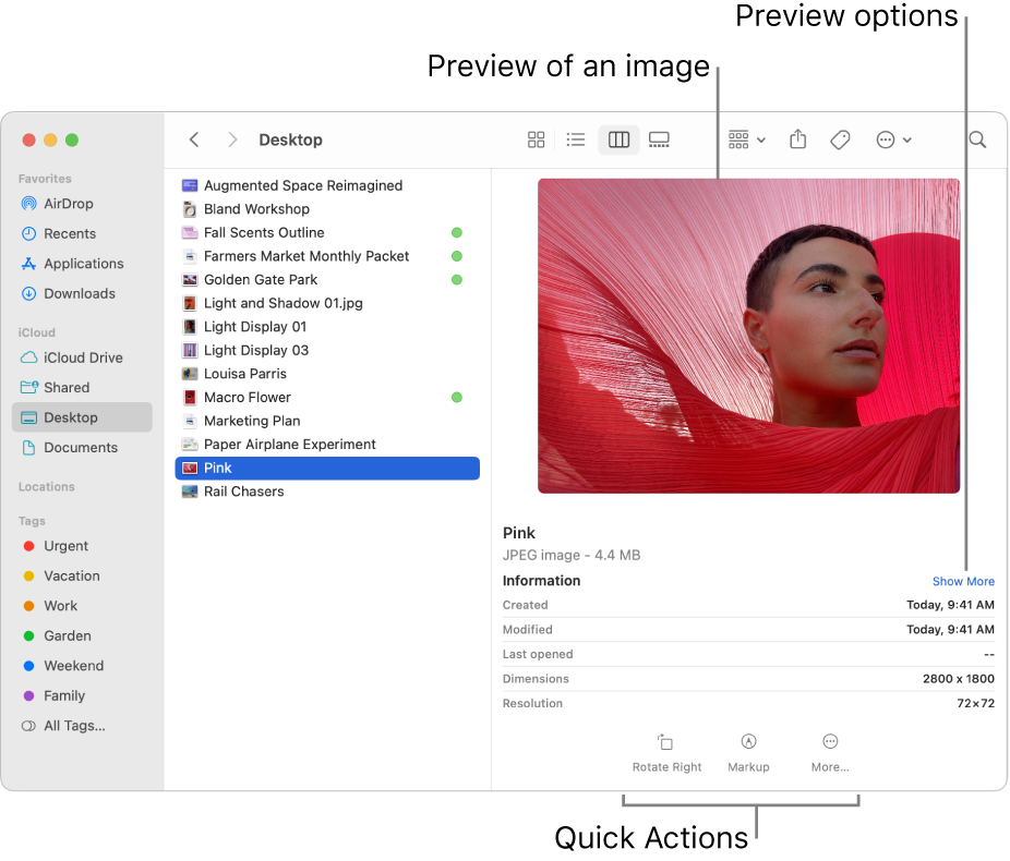 A Finder window showing the Finder sidebar on the left and an image file selected in the middle of the window. On the right, the Preview pane shows what the image looks like, with the image details below that, and the Quick Actions buttons at the bottom.