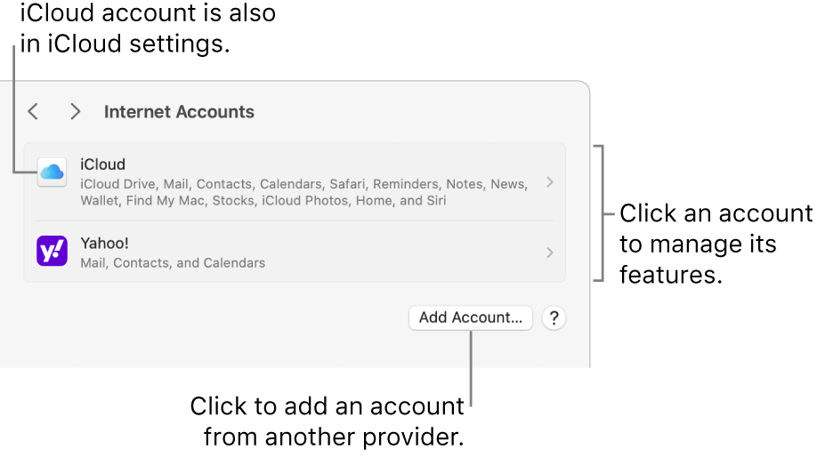 Internet Accounts settings with accounts that are set up on the Mac listed.