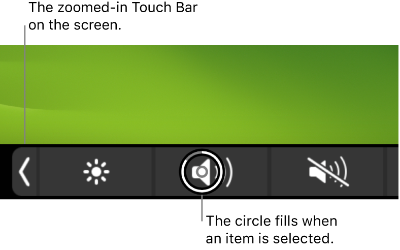 The zoomed-in Touch Bar along the bottom of the screen; the circle over a button fills when the button is selected.