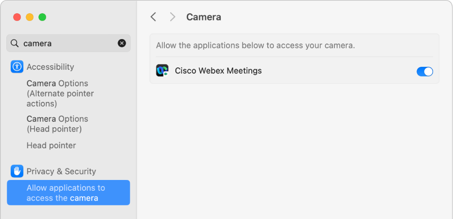 Seting Privasi & Keselamatan untuk kamera pada Mac anda. App yang boleh mengakses kamera diaktifkan, di sebelah kanan.