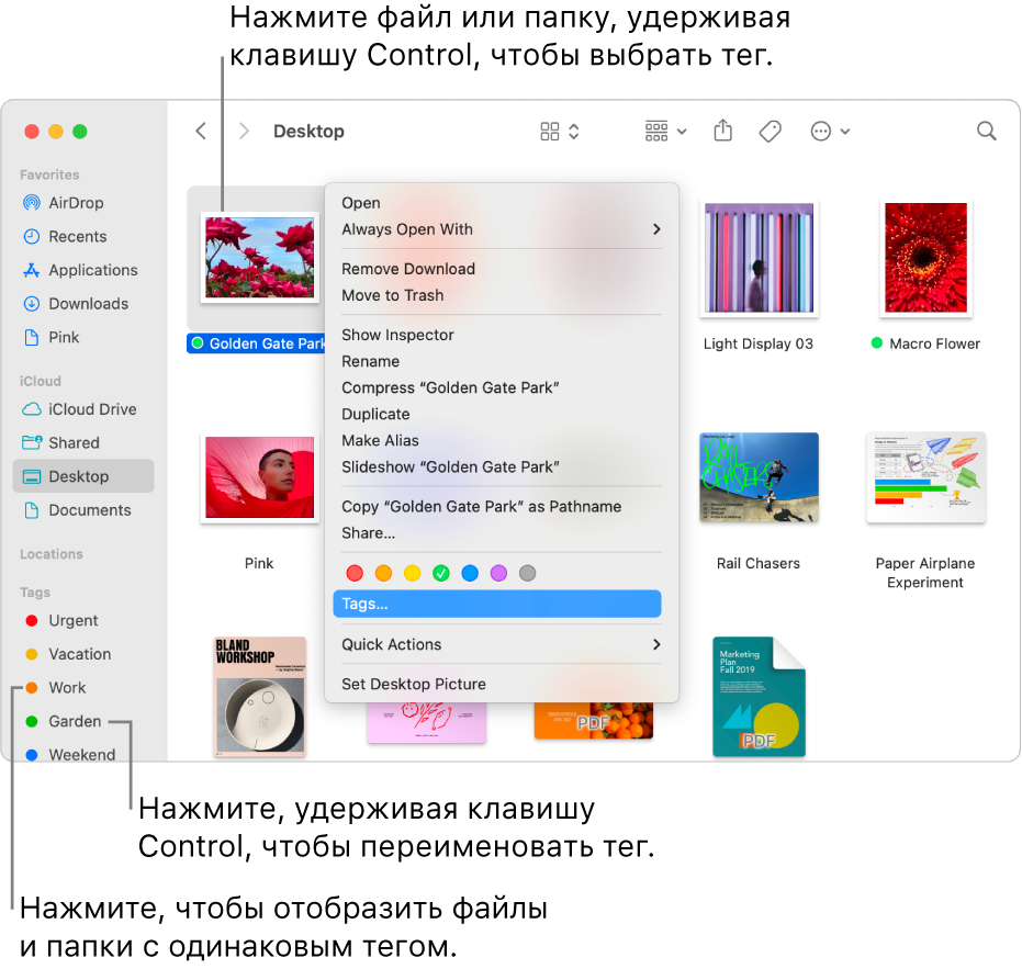 Использование тегов для упорядочивания файлов на Mac - Служба поддержки  Apple (RU)