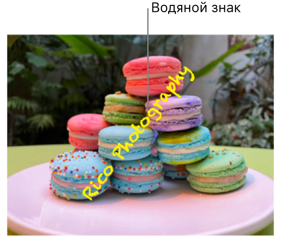 Фотографию по диагонали пересекает водяной знак &laquo;Rico Photography&raquo;.