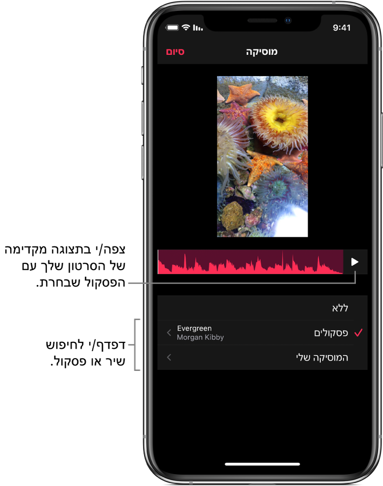 כפתור ״הפעל״ ותמונה של גל קול מתחת לתמונה במסך התצוגה, עם אפשרויות לעיון בפסקולים ובספריית המוסיקה שלך.