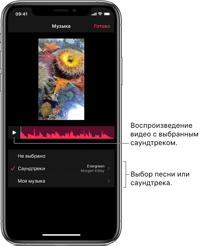 Кнопка воспроизведения и аудиоосциллограмма под изображением в окне просмотра. Также отображаются параметры поиска саундтреков или песен из медиатеки.