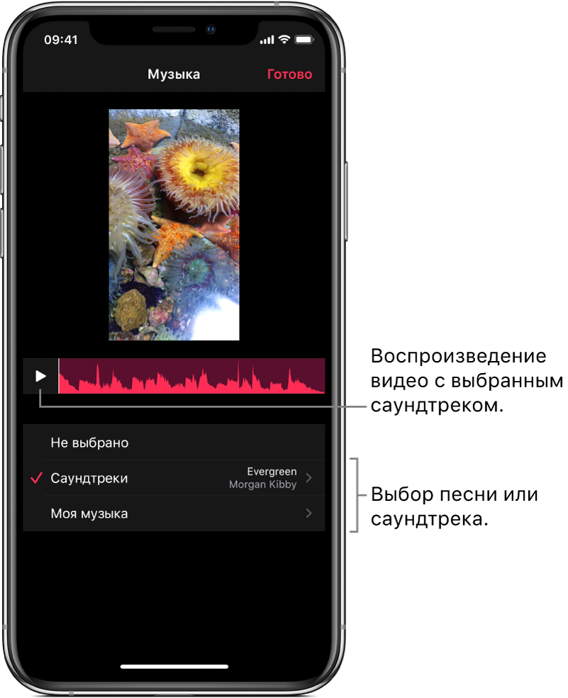 Добавление саундтреков и песен в приложении Clips - Служба поддержки Apple  (RU)