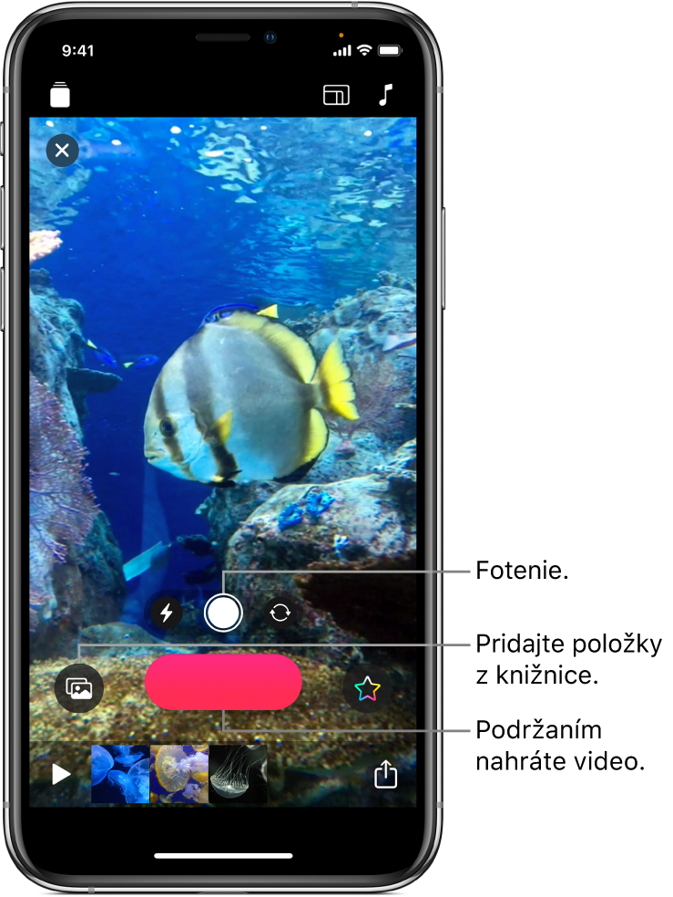 Obrázok videa v prehliadači s ovládačmi kamery, tlačidlom Nahrať a miniatúrami klipov v aktuálnom videu zobrazenými nižšie.