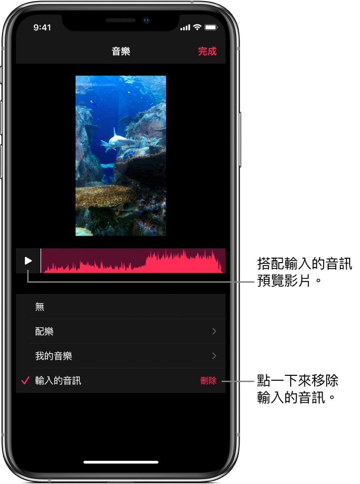 檢視器中影像下方顯示「播放」按鈕和音訊波形，底下有「刪除」按鈕，用於移除輸入的音訊。