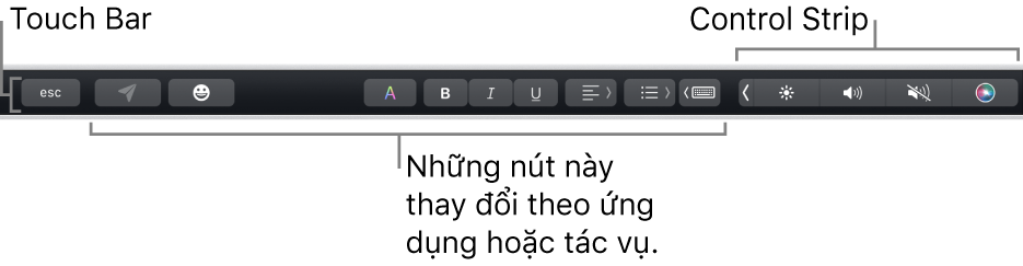 Touch Bar dọc theo cạnh trên cùng của bàn phím, đang hiển thị Control Strip được thu gọn ở bên phải và các nút thay đổi theo ứng dụng hoặc tác vụ.