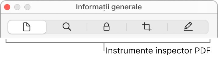 Instrumentele inspectorului PDF.