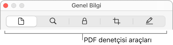 PDF denetçisi araçları.