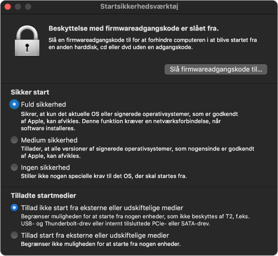 Hovedvinduet i Startsikkerhedsværktøj, der viser en note om beskyttelse af firmwareadgangskoden efterfulgt at tre sikkerhedsmuligheder under “Sikker start” og to sikkerhedsmuligheder under “Tilladte startmedier”.