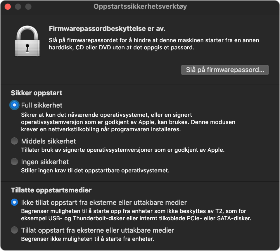 Hovedvinduet for Oppstartssikkerhetsverktøy, som viser en melding om firmwarepassordbeskyttelse, etterfulgt av tre sikkerhetsvalg under «Sikker oppstart» og to sikkerhetsvalg under «Tillatte oppstartsmedier».