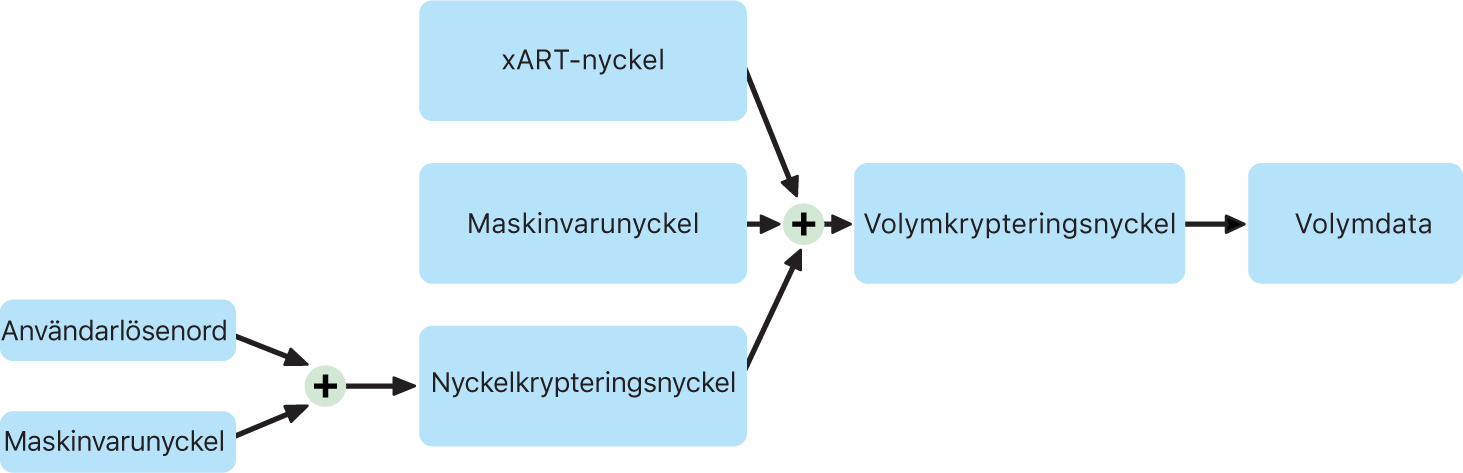 Krypteringsprocessen för interna volymer när FileVault är aktiverat i macOS.