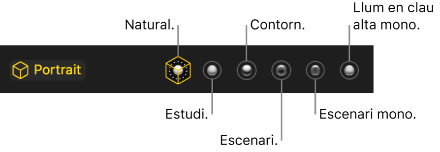 Opcions d’efectes d’il·luminació del mode Retrat, incloses (d’esquerra a dreta) Natural, Estudi, Contorn, Escenari, “Escenari mono” i “Llum en clau alta mono”.