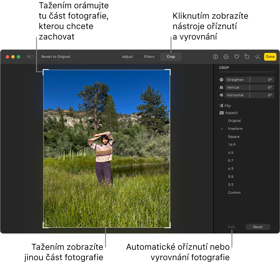 Fotka v zobrazení pro úpravy s vybranou volbou Oříznout na panelu nástrojů, výběrovým obdélníkem okolo fotky, a posuvníky narovnání, volbami poměru stran a tlačítky Automaticky a Resetovat vpravo
