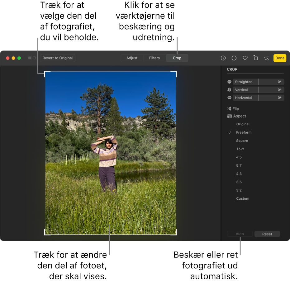 Et foto i redigeringsoversigt med Beskær valgt på værktøjslinjen med et vælgerektangel omkring fotoet og mærker til udretning, indstillinger til billedformat og knapperne Auto og Nulstil til højre.