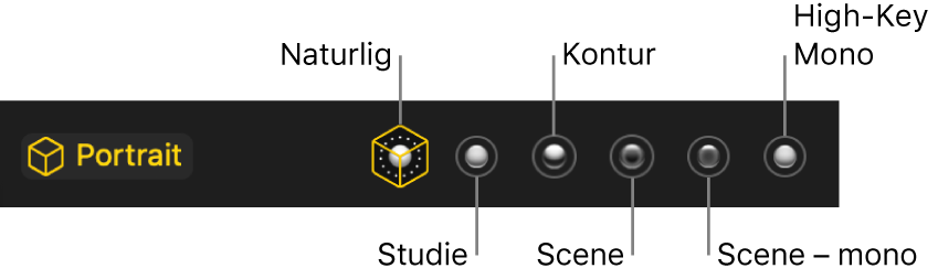 Lyseffekter til portrætfunktion, herunder (fra venstre til højre) Naturlig, Studie, Kontur, Scene, Scene – mono og High-Key Mono.