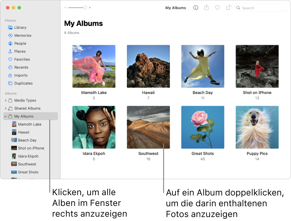 Das Fenster „Fotos“ mit dem in der Seitenleiste ausgewählten Bereich „Meine Alben“; rechts werden die Alben angezeigt.