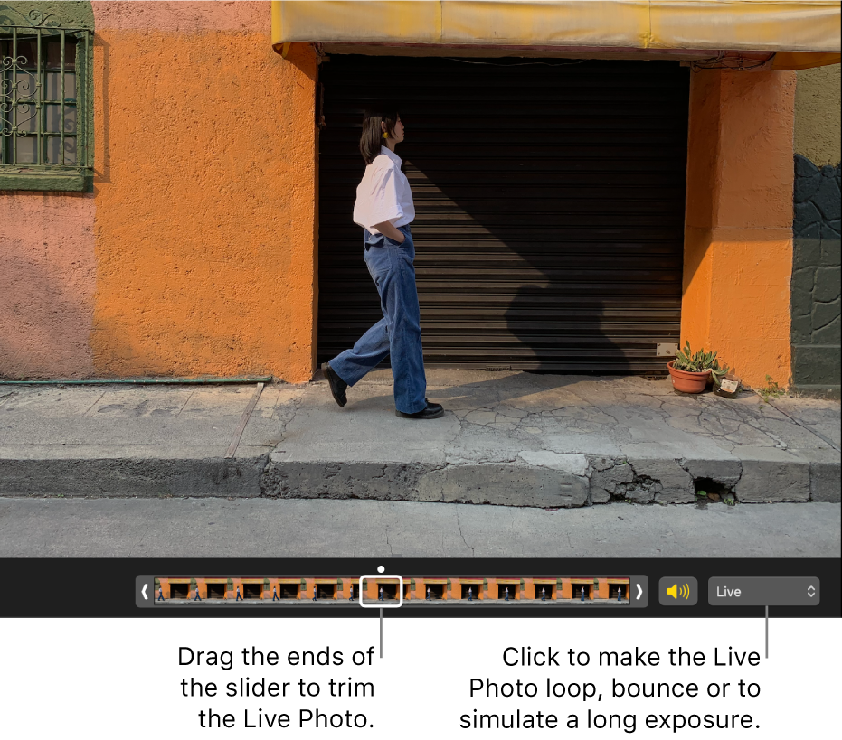 A Live Photo in editing view with a slider beneath it showing the frames of the photo. To the right of the slider are the Speaker button and a pop-up menu you can use to add a loop, bounce or long exposure effect.