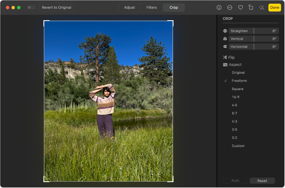 A photo in editing view, with Crop selected in the toolbar and cropping and straightening tools on the right.