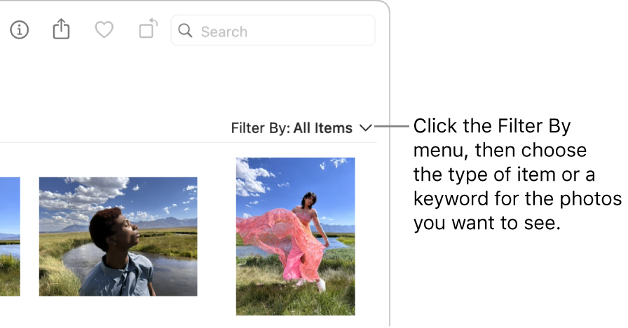 Create and work with albums in Photos on Mac - Apple Support