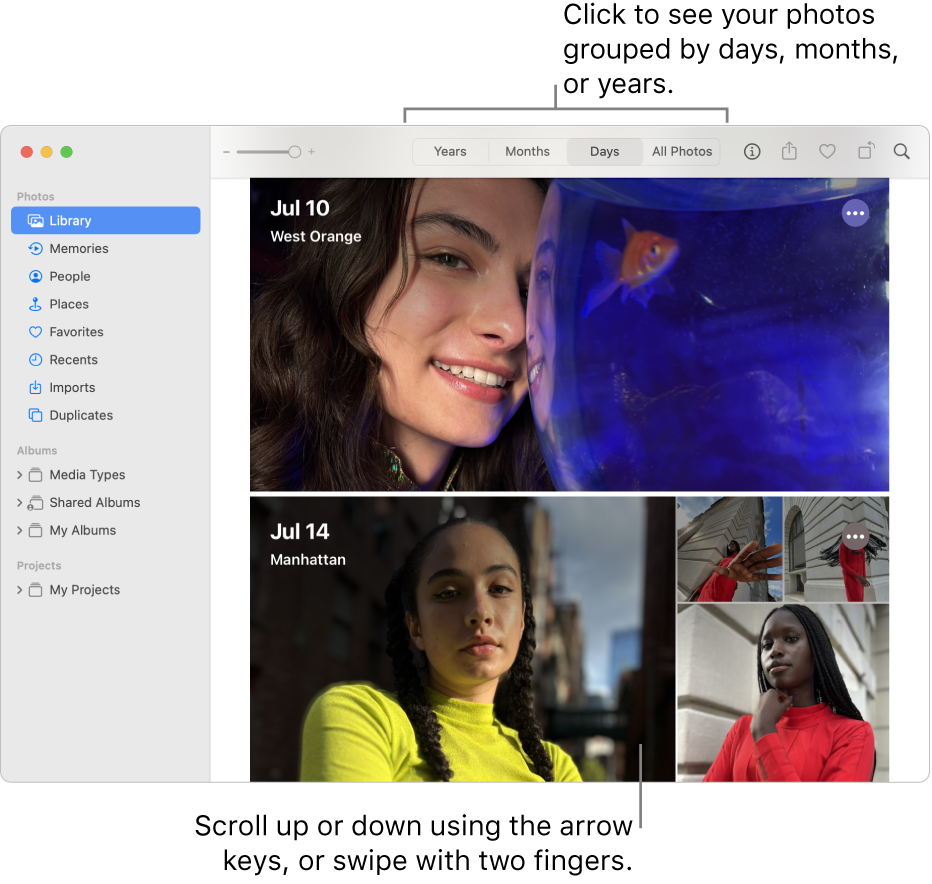 Create and work with albums in Photos on Mac - Apple Support