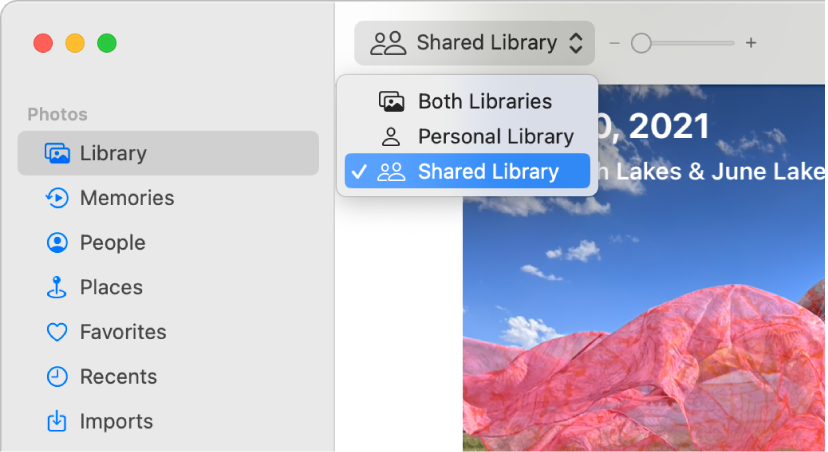 Create shared albums in Photos on Mac - Apple Support