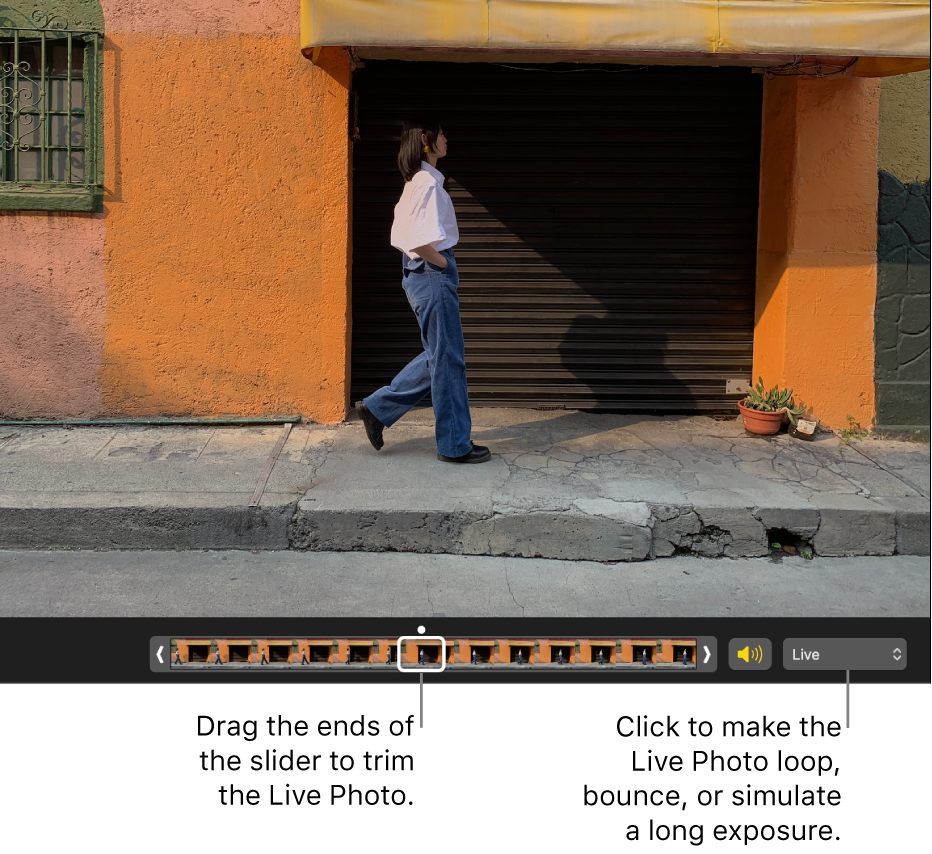 A Live Photo in editing view with a slider beneath it showing the frames of the photo. To the right of the slider are the Speaker button and a pop-up menu you can use to add a loop, bounce, or long exposure effect.