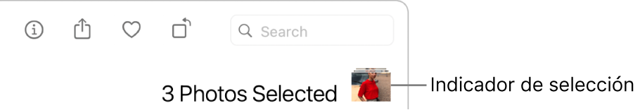 Un indicador de selección mostrando que se seleccionaron tres fotos.