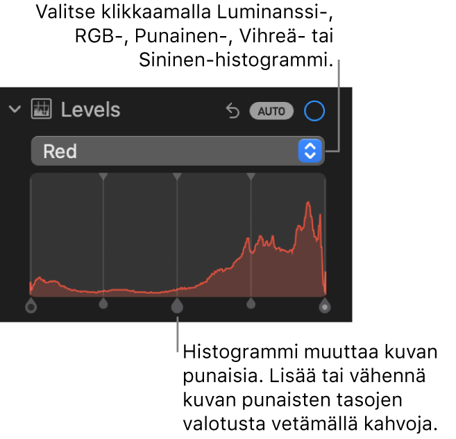 Tasosäätimet Säädöt-osiossa, ja näkyvillä on punainen histogrammi ja sen alla kahvat kuvan punaisuustasojen säätämiseen.