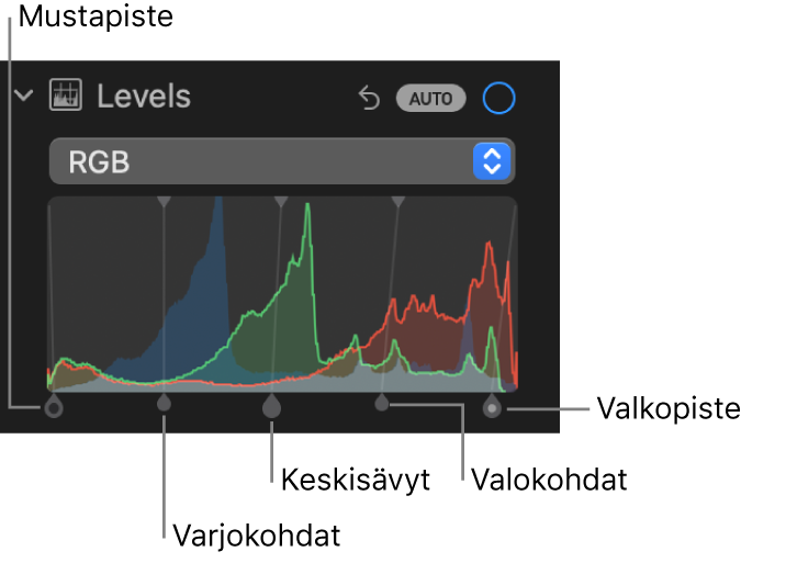 Tasosäätimet Säädöt-osiossa, ja näkyvillä on RGB-histogrammi ja sen alla kahvat, mukaan lukien (vasemmalta oikealle) mustapiste, varjokohdat, keskisävyt, valokohdat ja valkopiste.