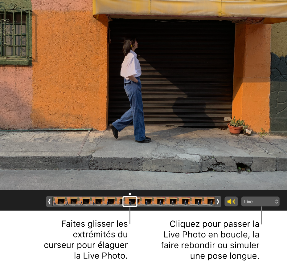 Une Live Photo en mode édition avec un curseur présentant les images de la photo. À droite du curseur se trouvent le bouton Haut-parleur et un menu local que vous pouvez utiliser pour ajouter un effet de boucle, de rebond ou de pose longue.