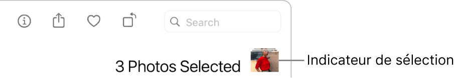 Un indicateur de sélection montrant que trois photos sont sélectionnées.