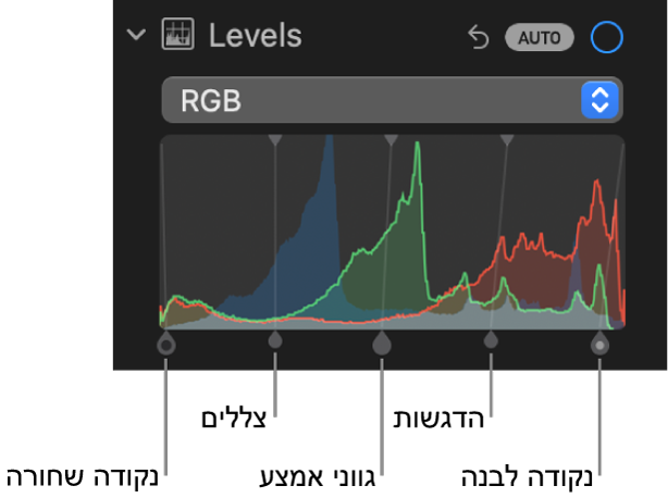 כלי בקרה ״רמות״ בחלונית ״התאם״ המציגה את היסטוגרמת ה‑RGB עם ידיות מתחתיה, כולל (משמאל לימין) נקודה שחורה, צללים, גווני אמצע, הדגשות ונקודה לבנה.